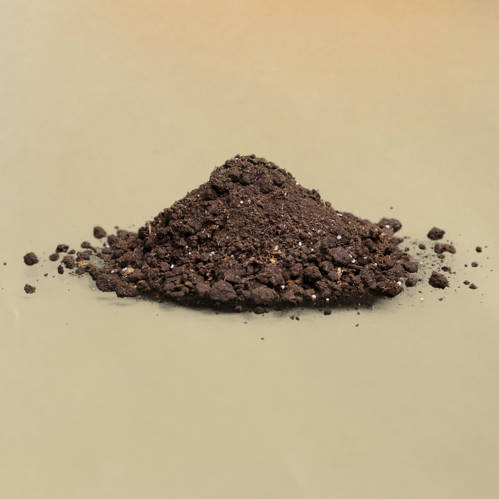 Multani Mitti
